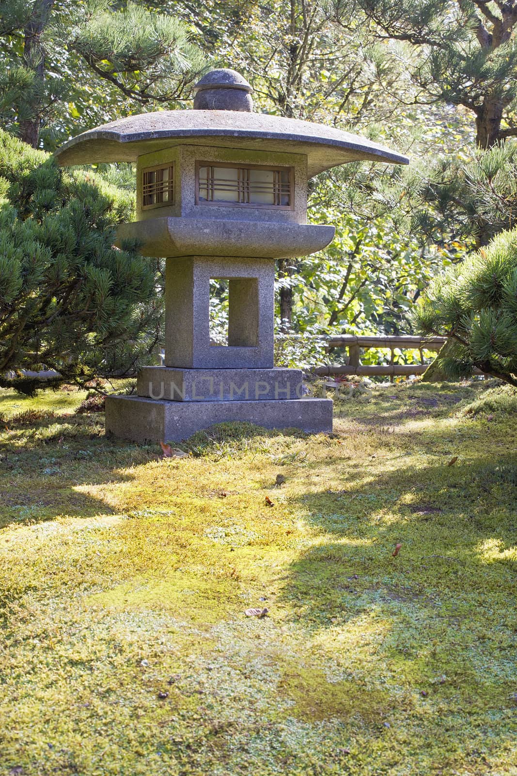 Japanese Stone Lantern with Trees Shrubs and  Moss