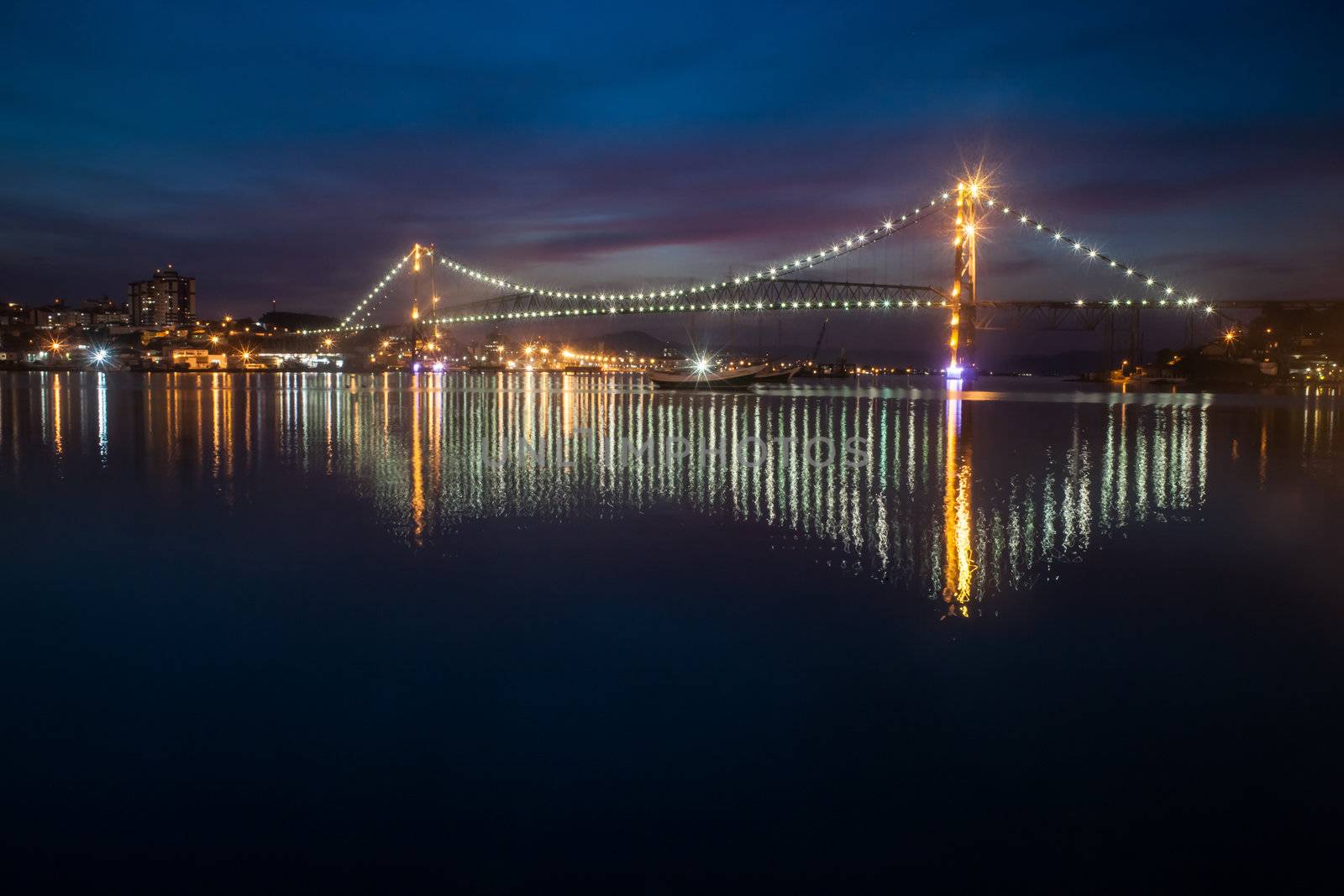 Hercilio Luz Bridge at Night by Daniel_Wiedemann