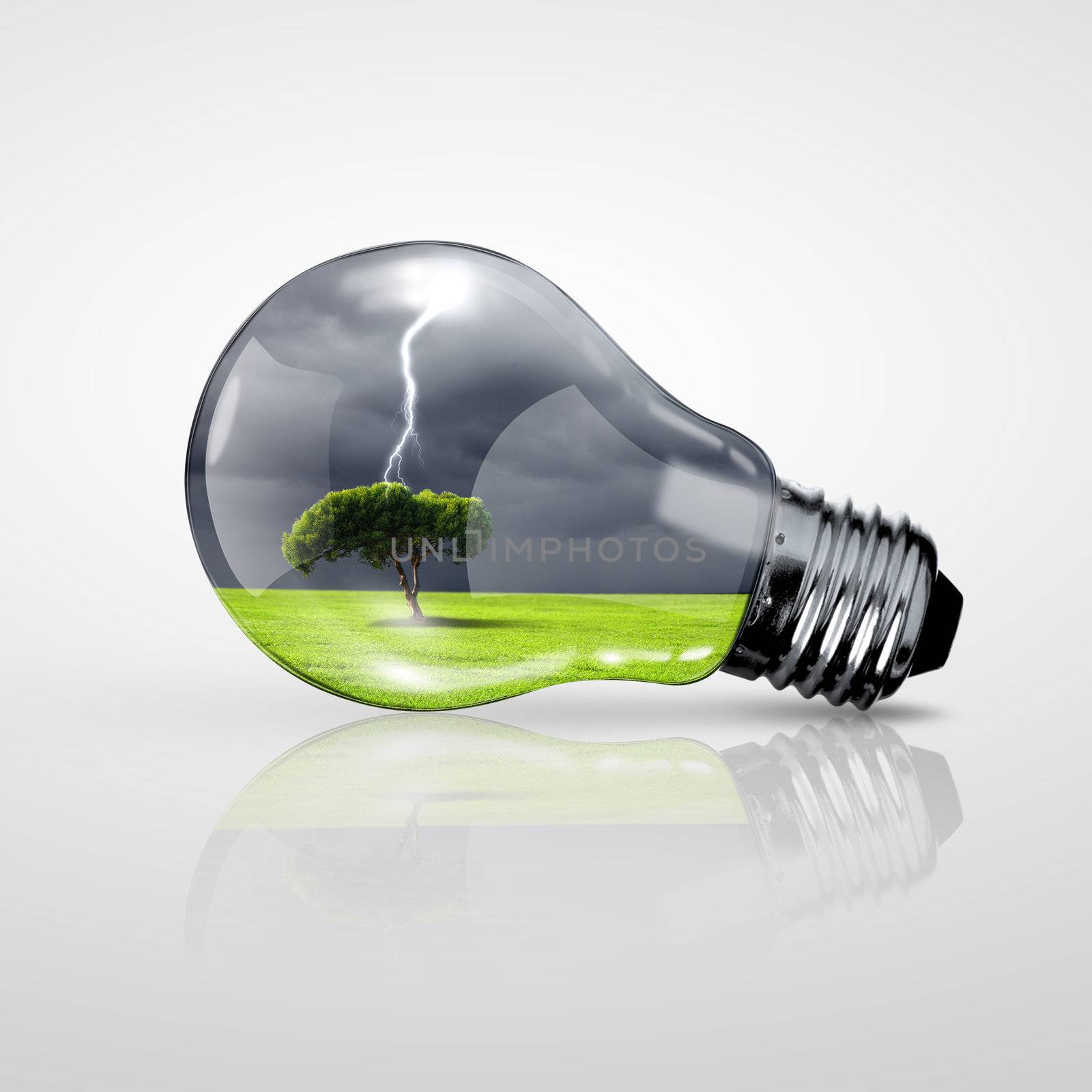 Electric light bulb and a plant inside it as symbol of green energy