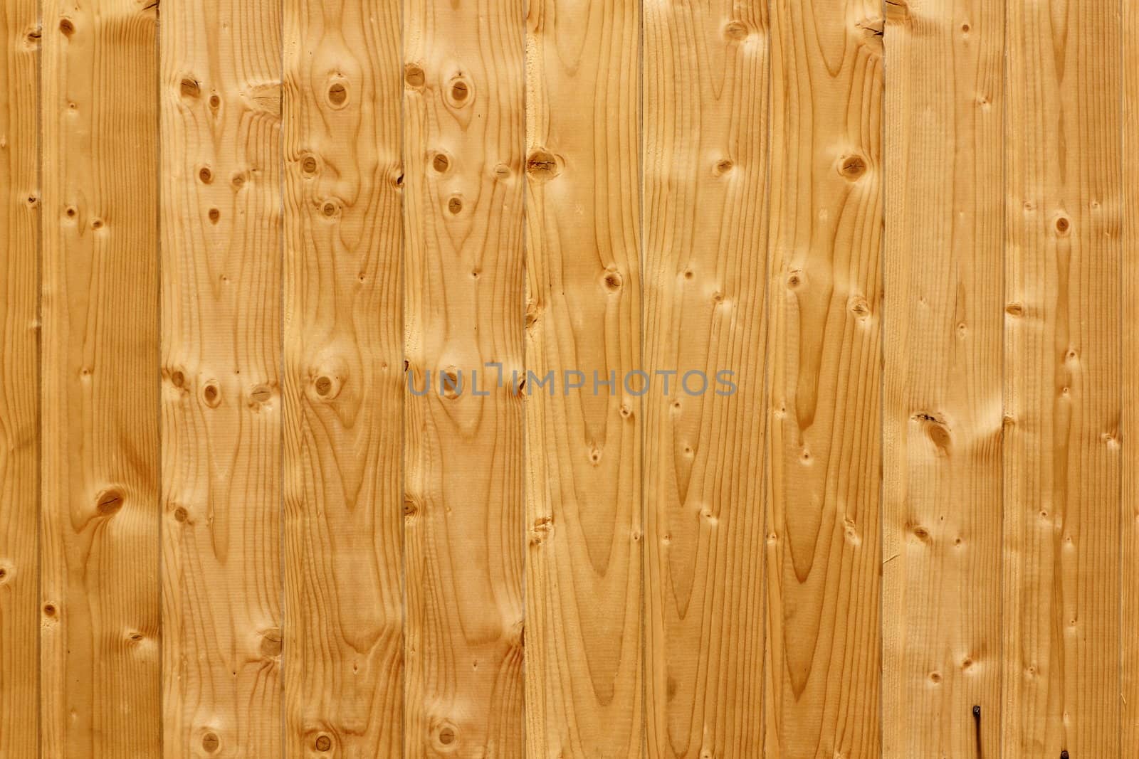 floor texture background of new wooden planks