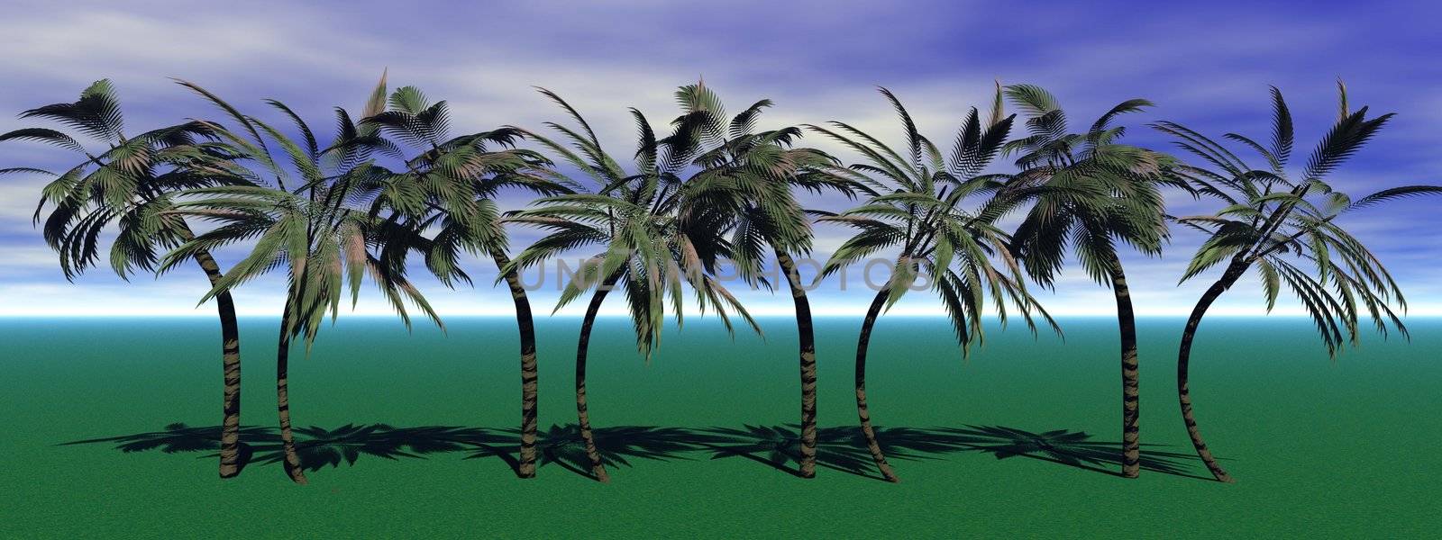 palms and sky blue