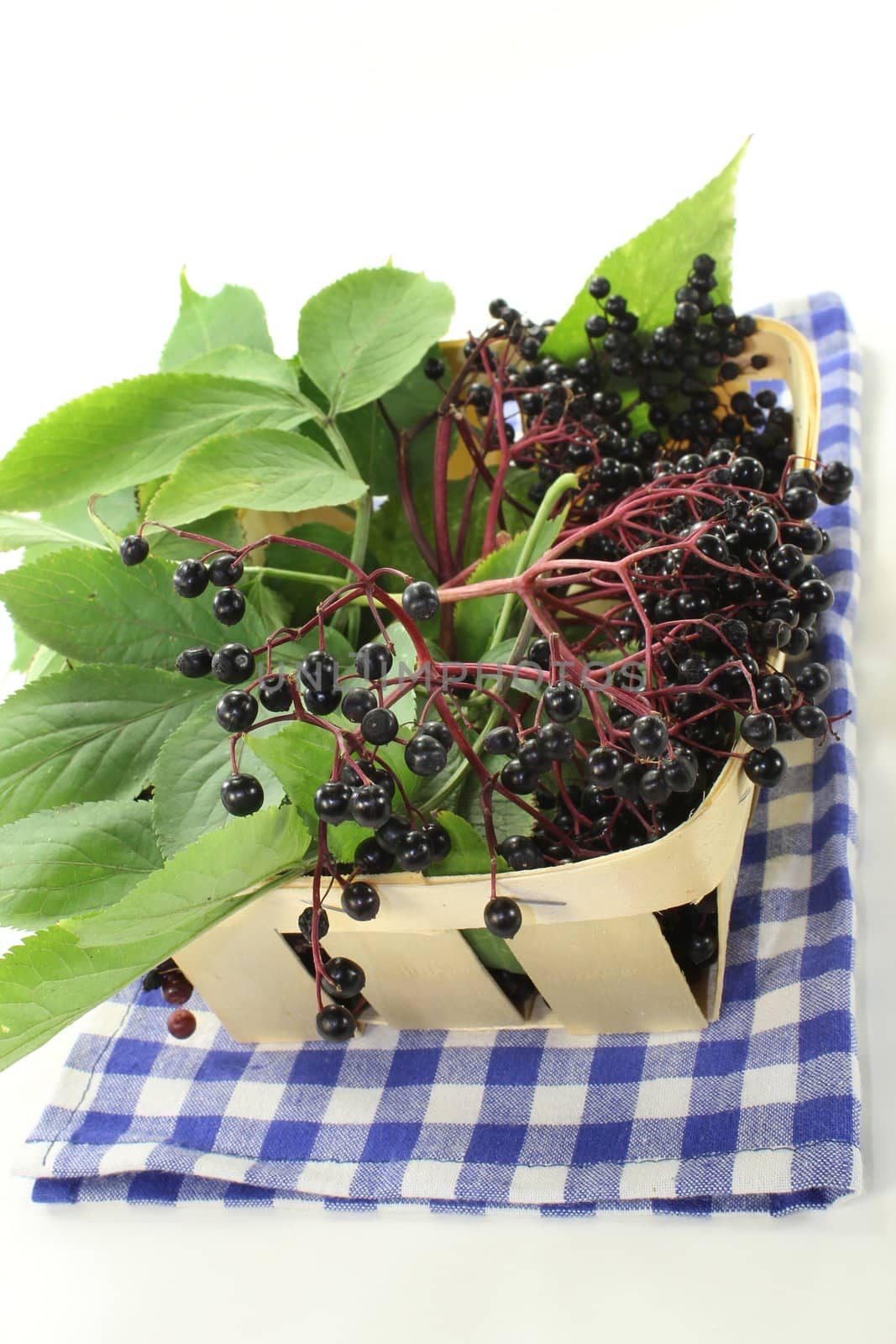 fresh elderberries and leaves in a basket