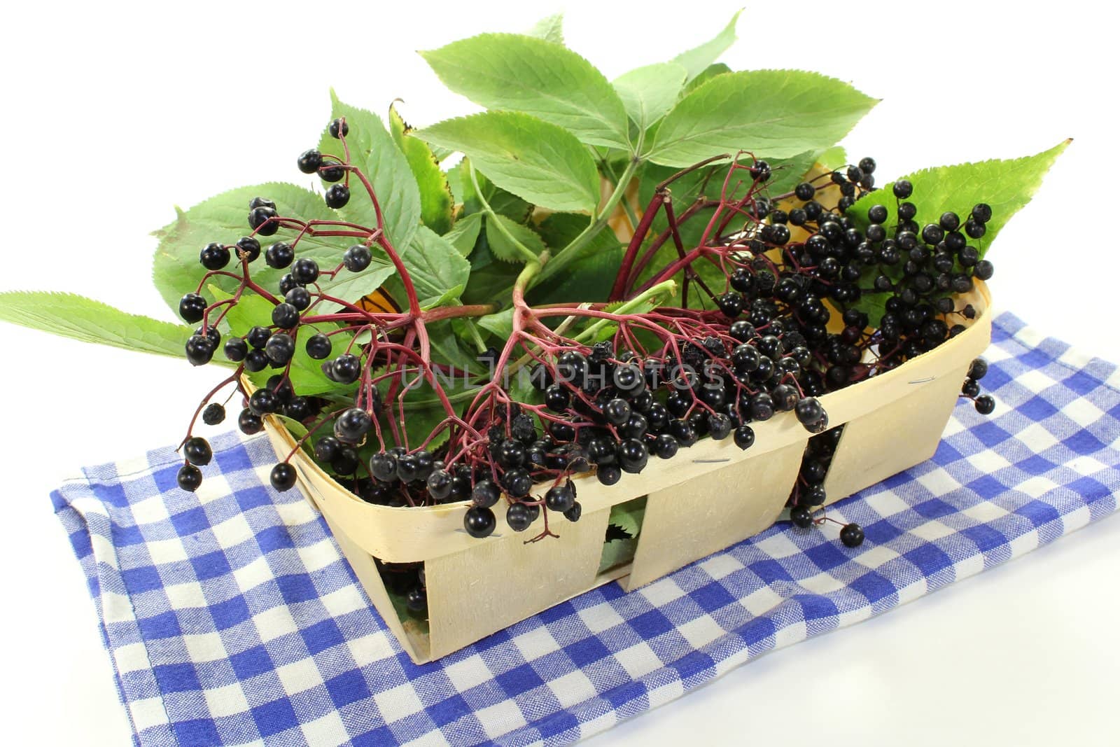 fresh elderberries and leaves in a basket