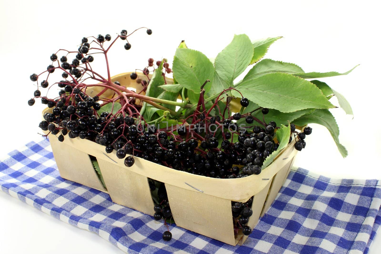 fresh elderberries and leaves in a basket