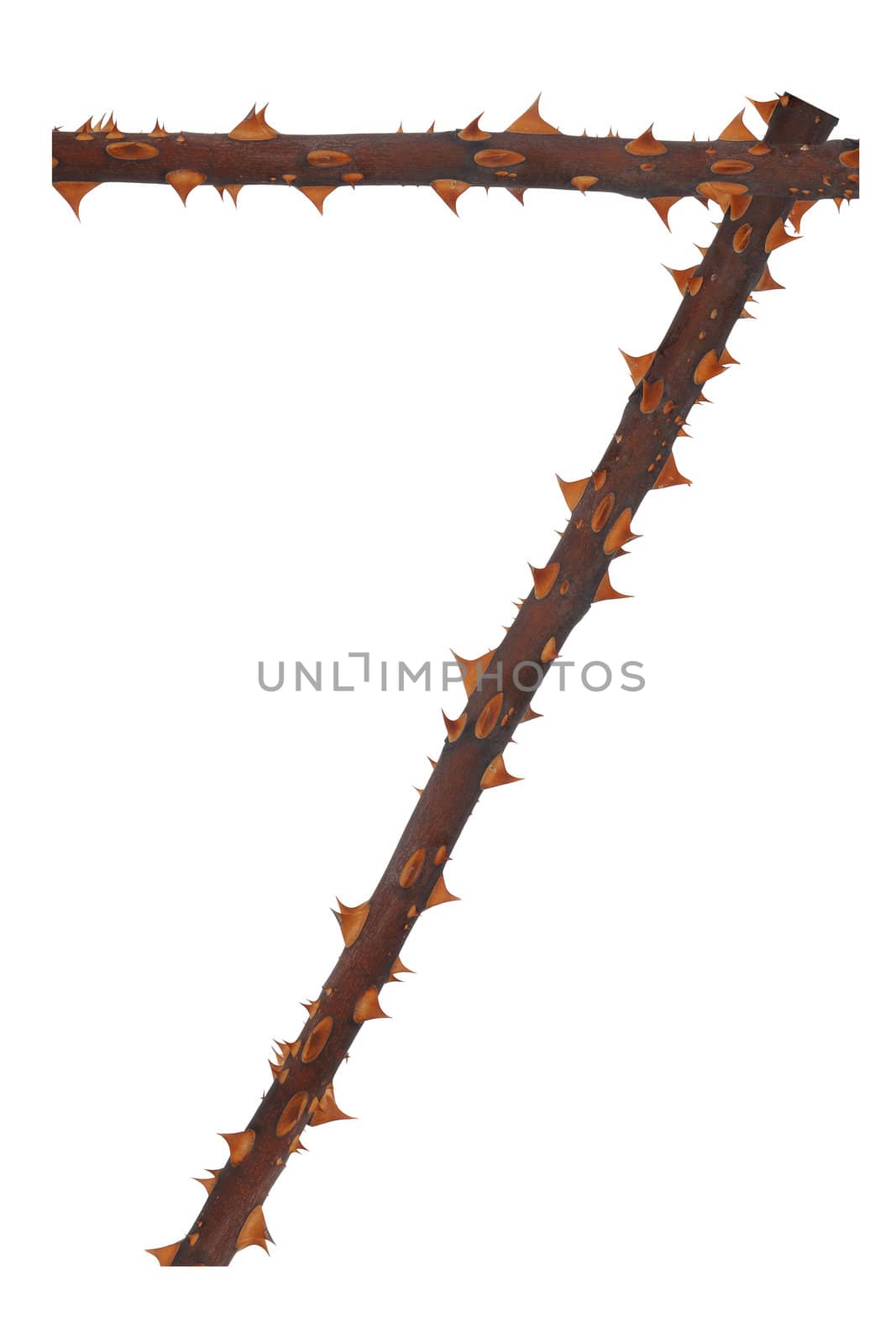 Number seven on a white background