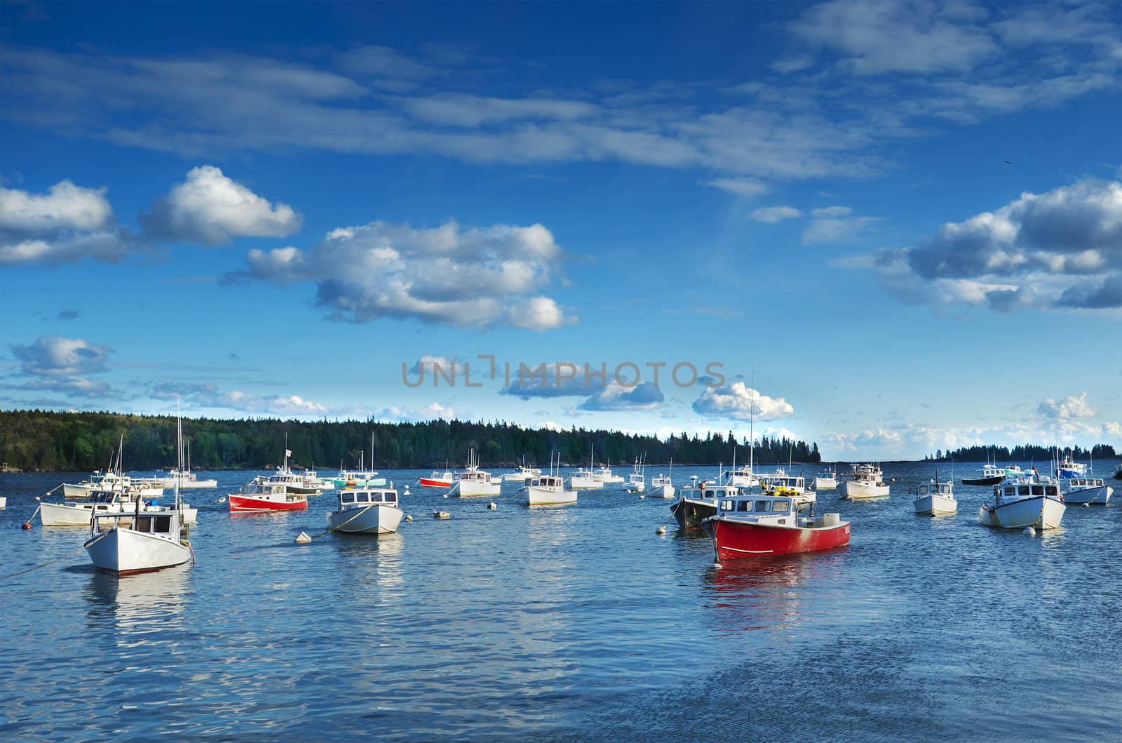Fishing harbor by f/2sumicron