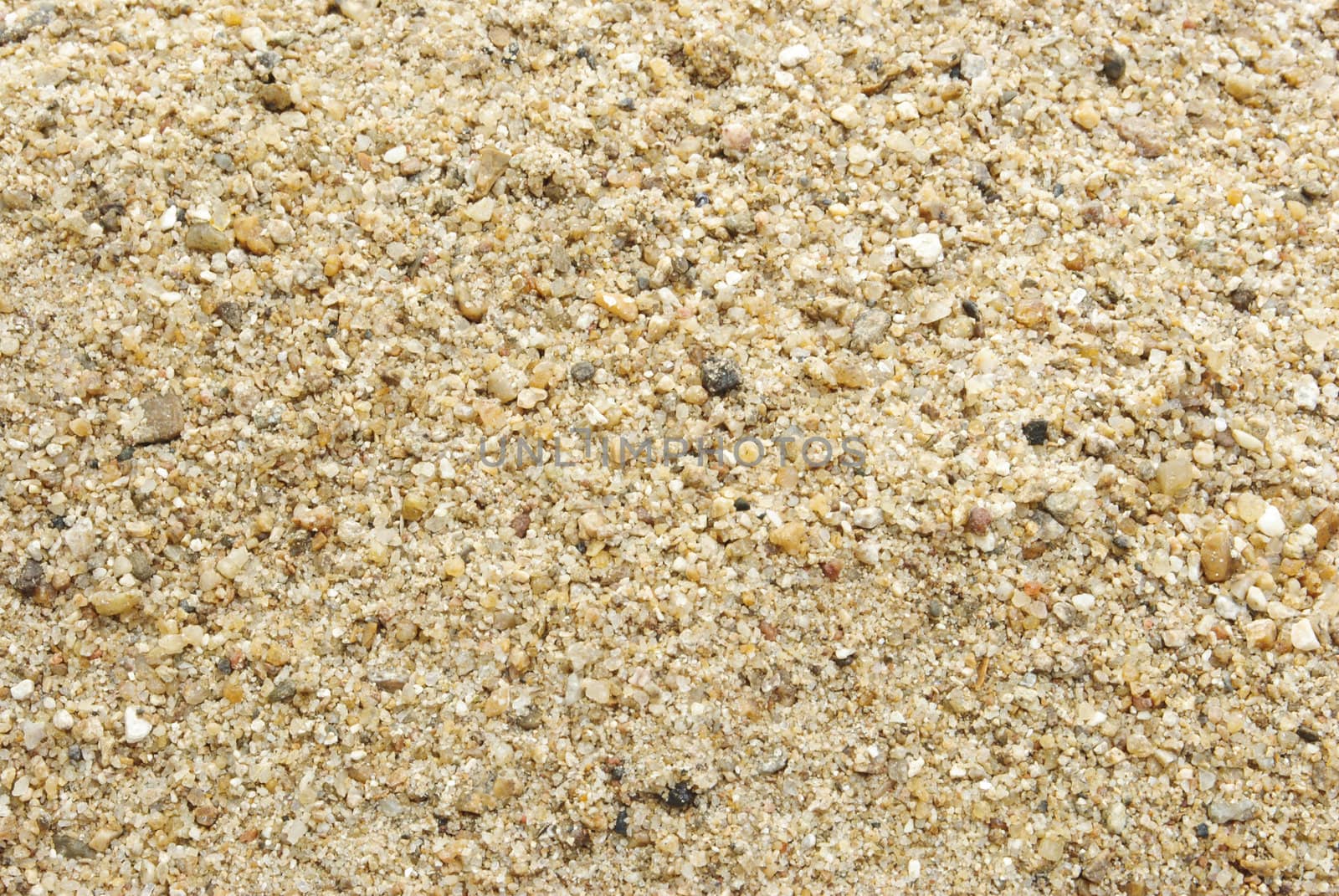 Sand Texture