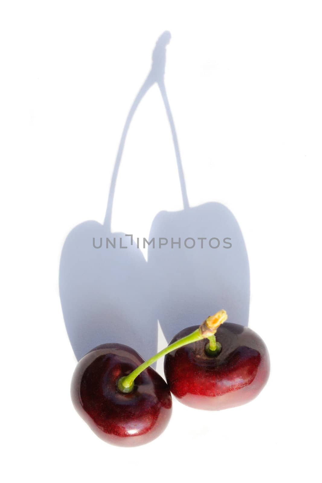 Red cherry �n a white background