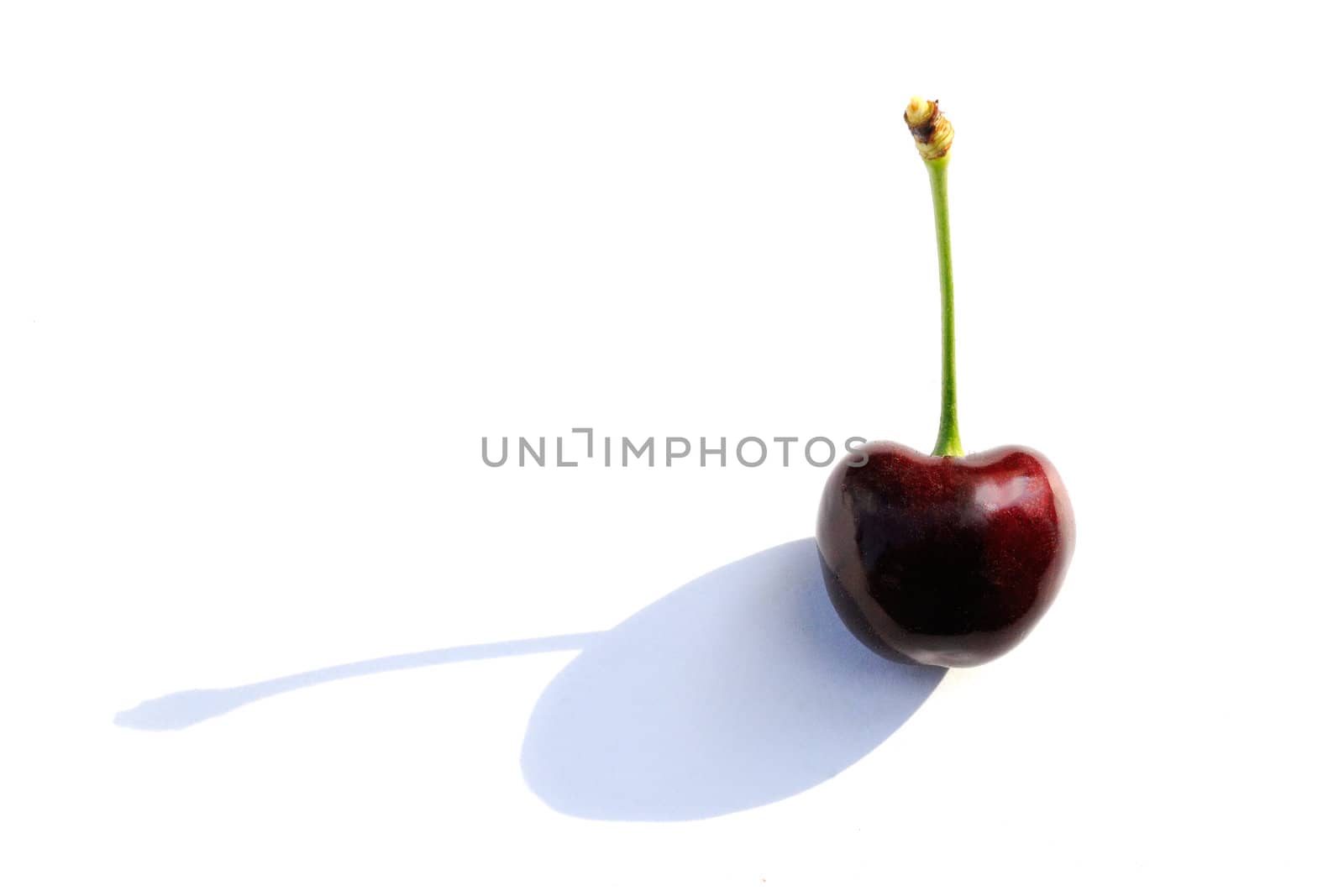 Red cherry �n a white background
