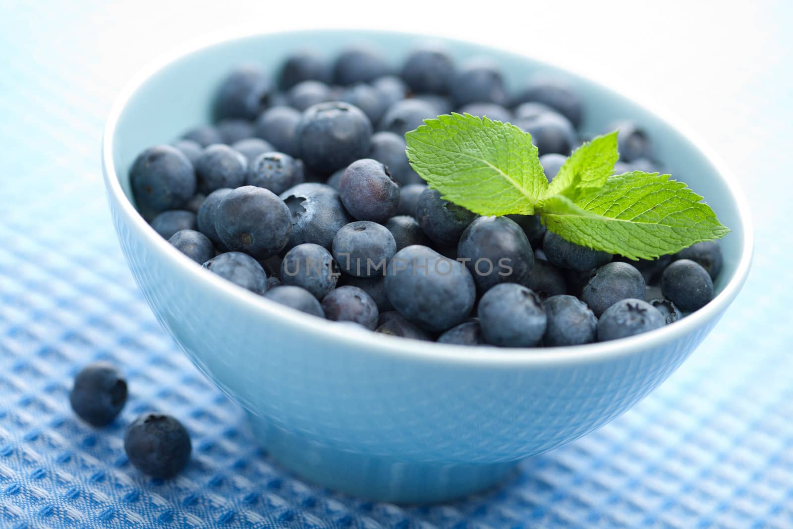 fresh blueberry in bowl 