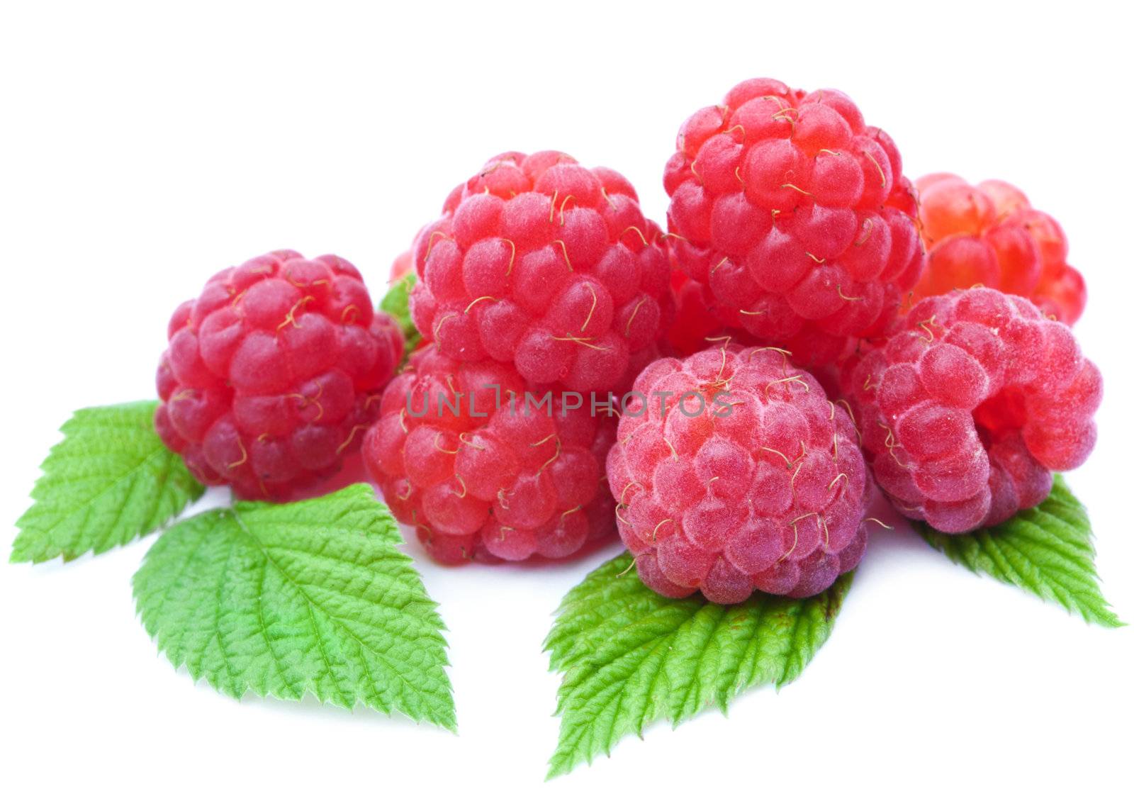 fresh raspberry isolated by duskbabe