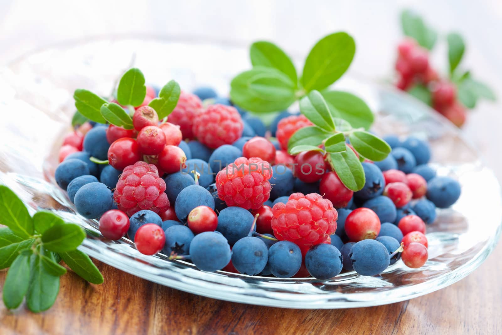 fresh berries  by duskbabe