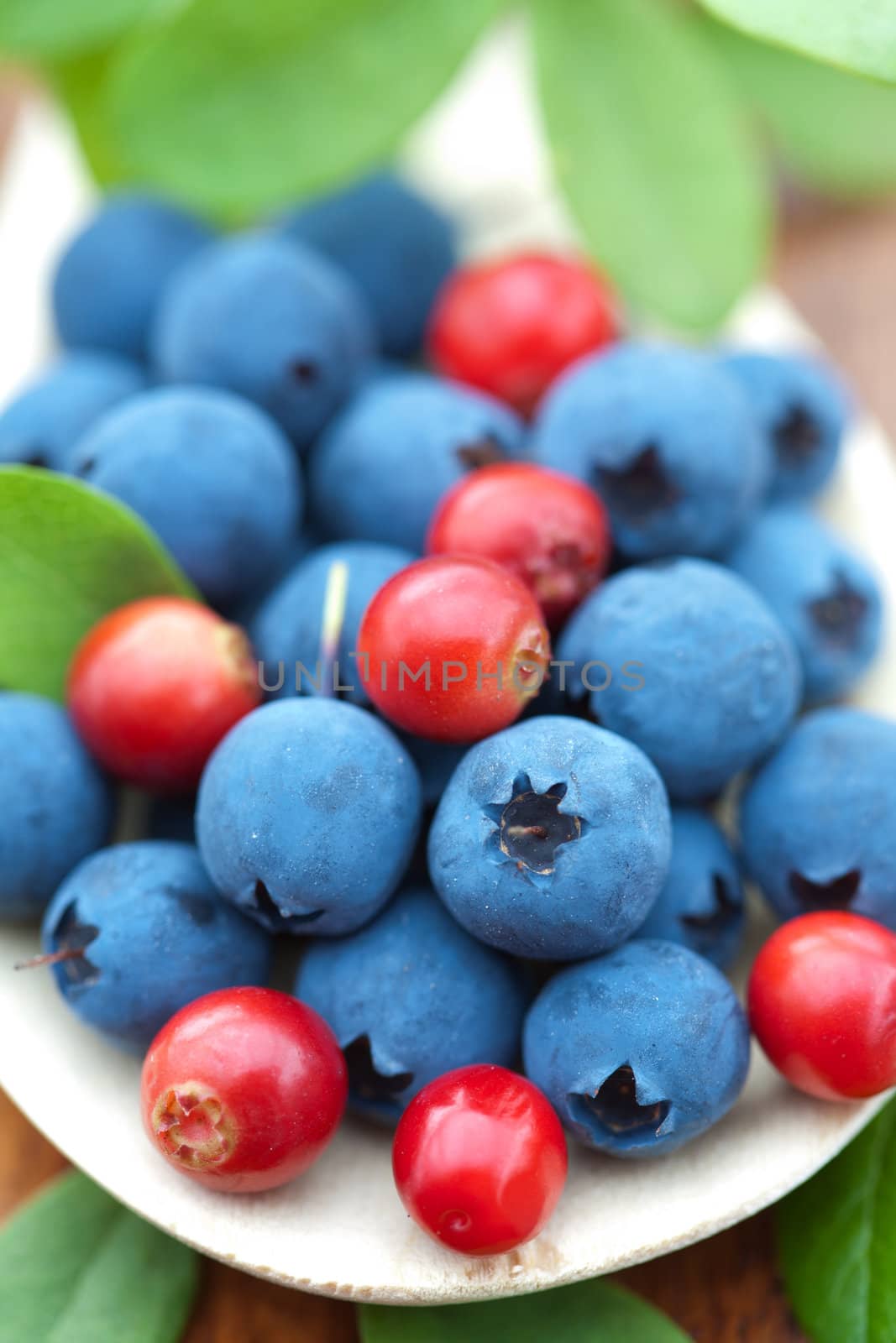 fresh wild berries  by duskbabe