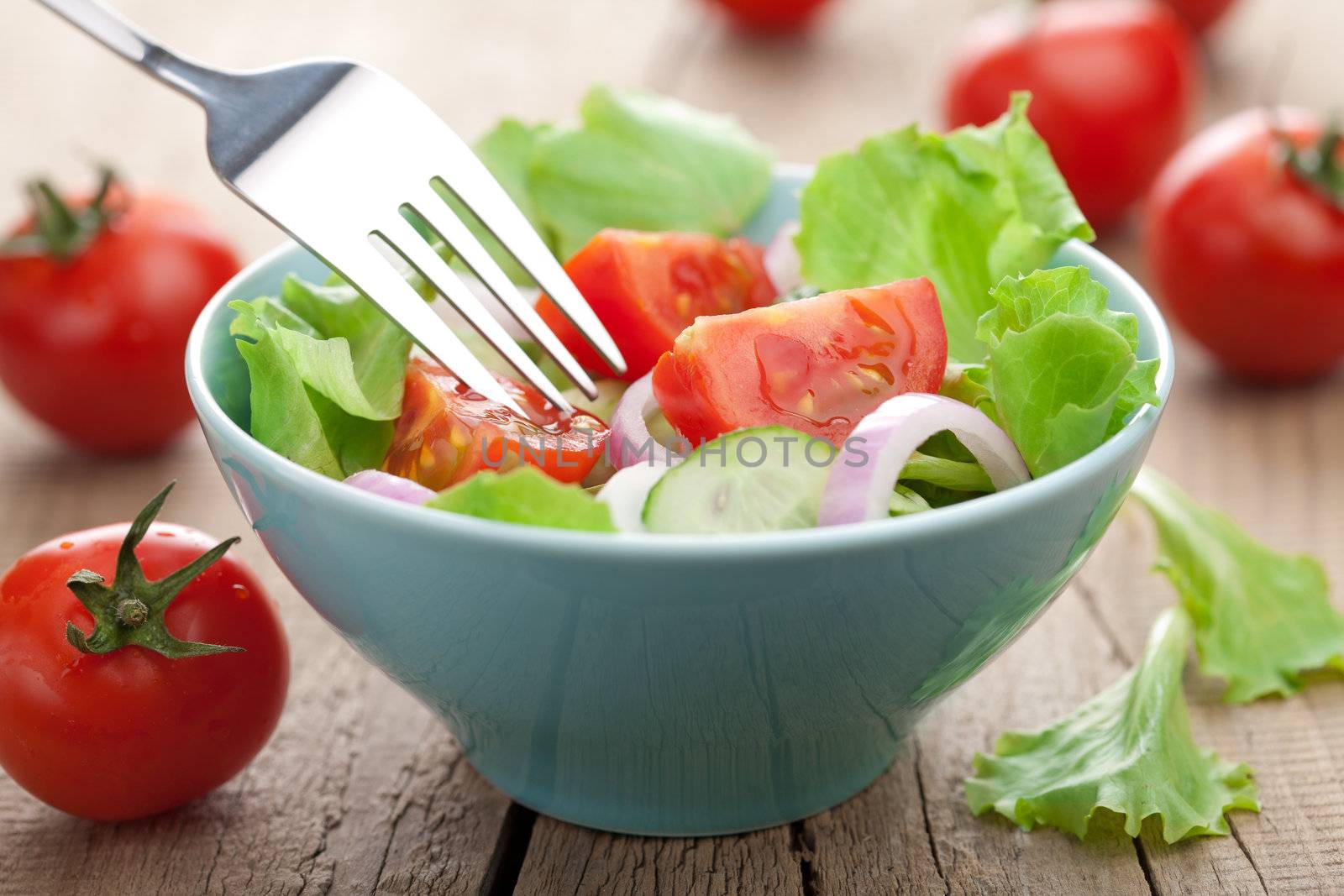 fresh vegetable salad 