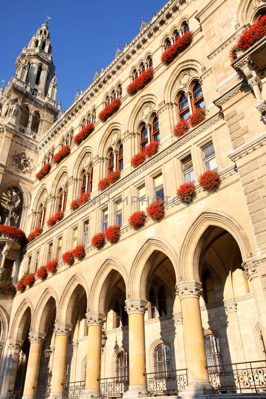 famous City Hall building, Rathaus in Vienna, Austria