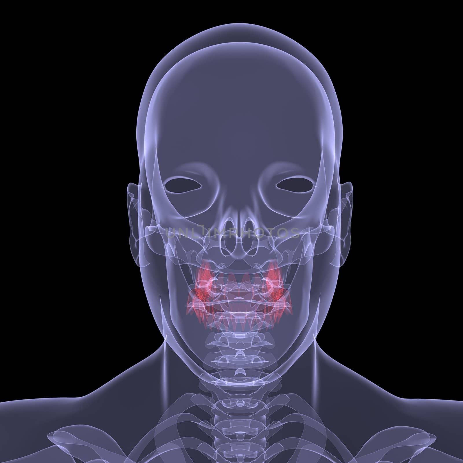 X-Ray picture of a person. Sore digestion. Isolated render on a black background