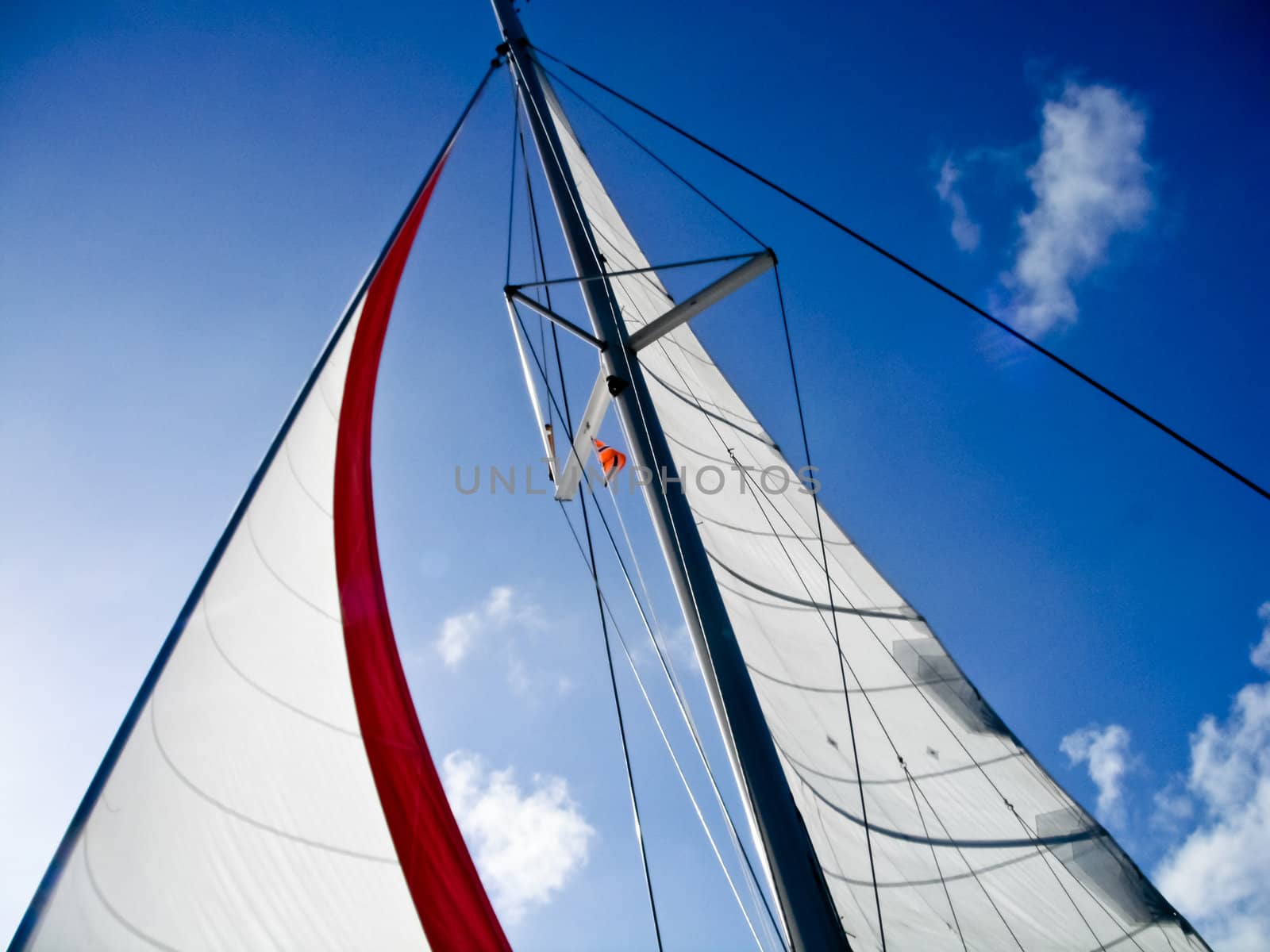 Set sails against a beautiful blue sky
