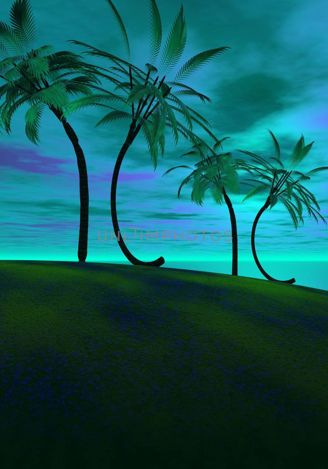 palms and sky green