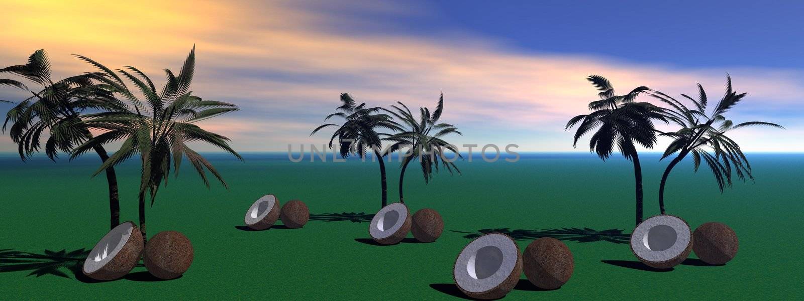 palms and coconut