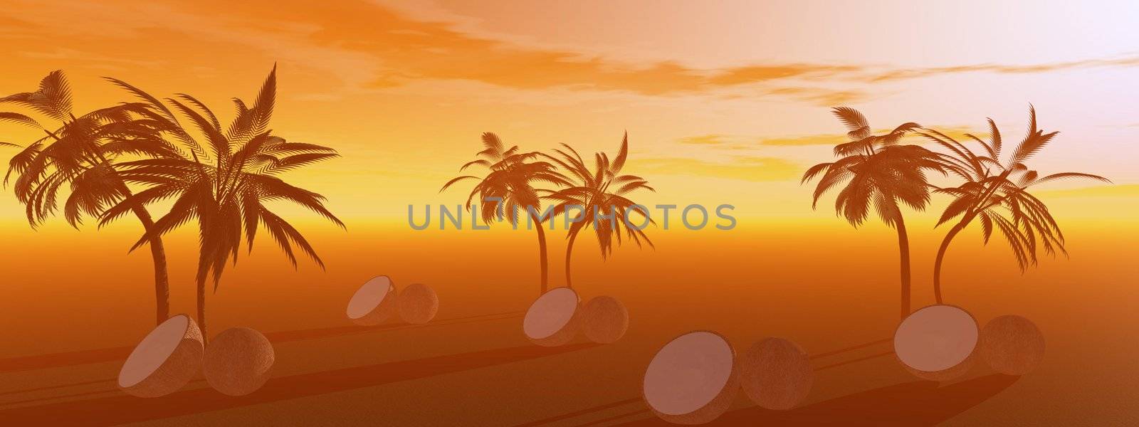 palms and sky orange