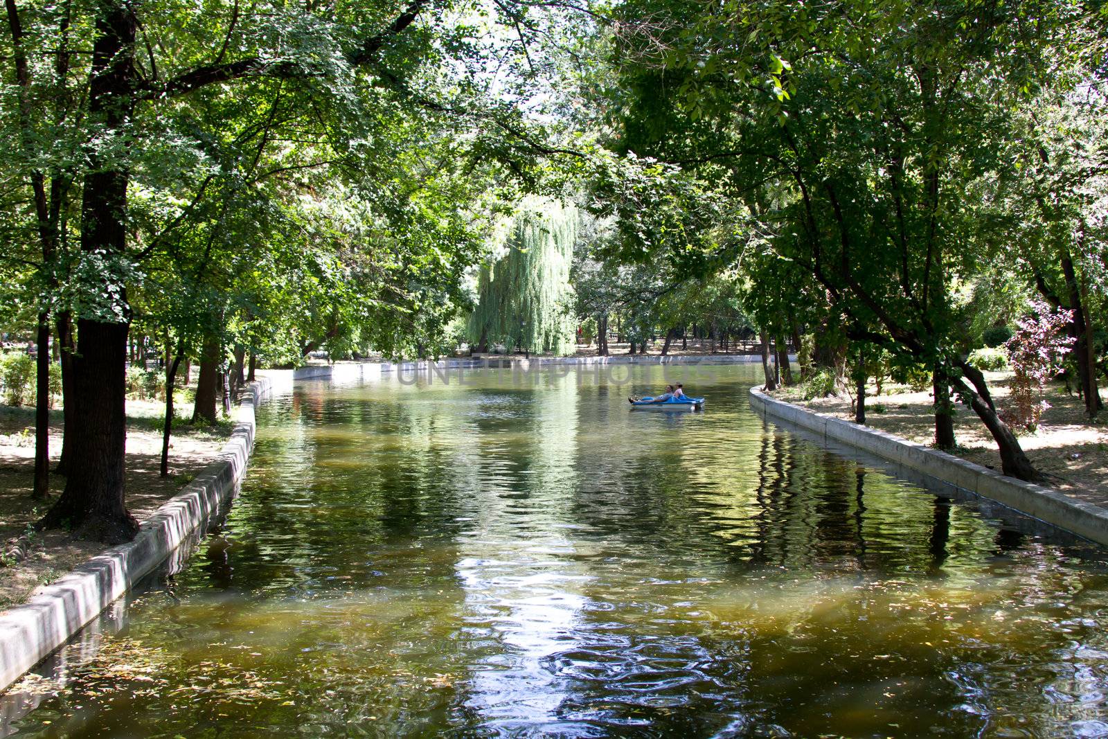 Park landscape in summer with green trees