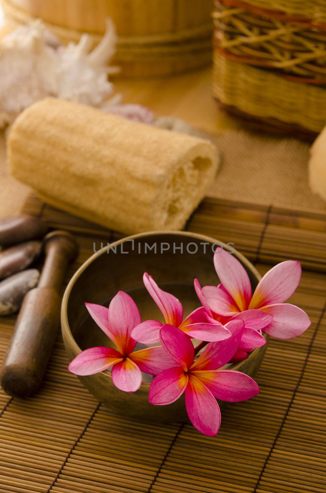 tropical spa with frangipani flowers arrangement by yuliang11