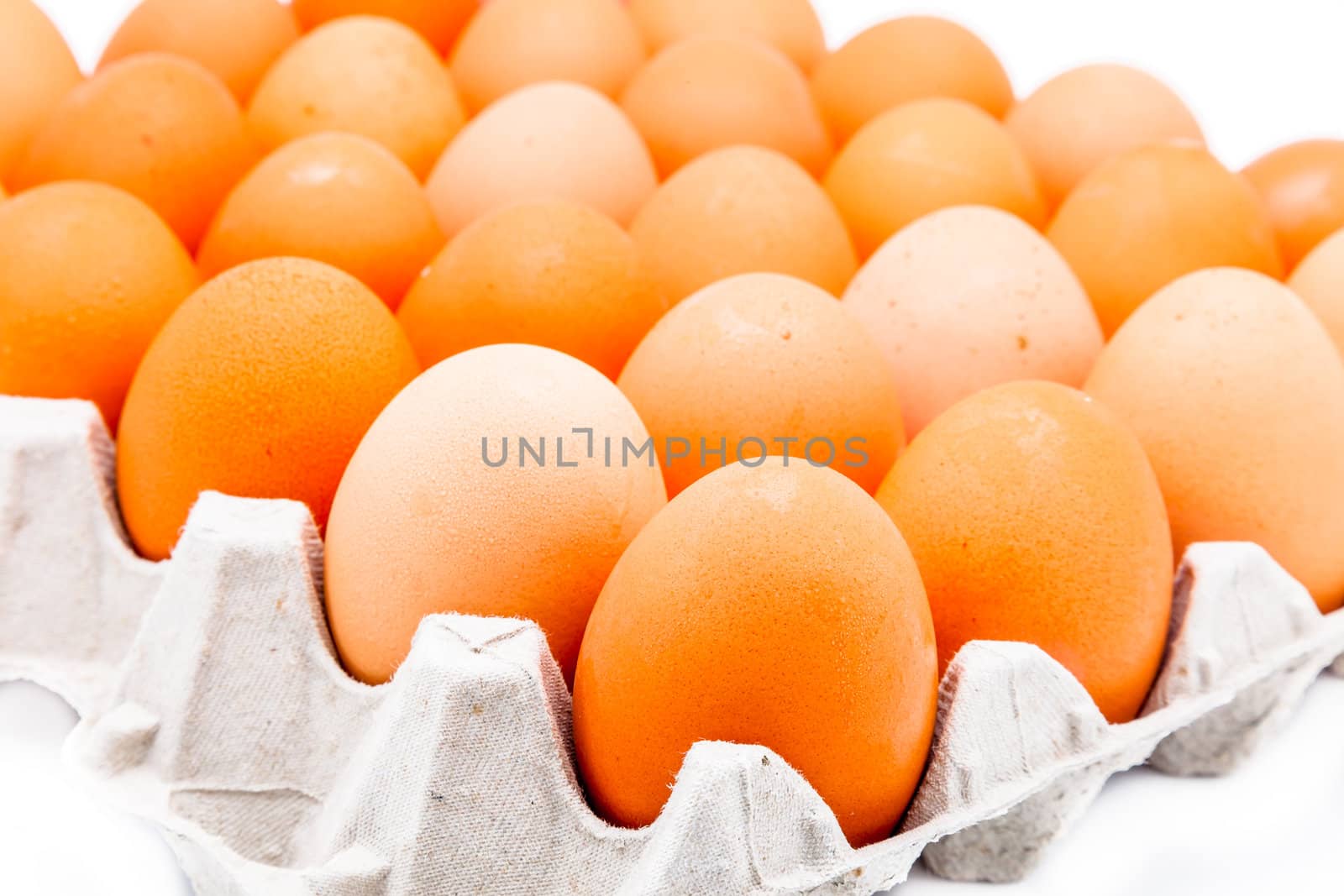 Eggs in a carton isolated on a white background