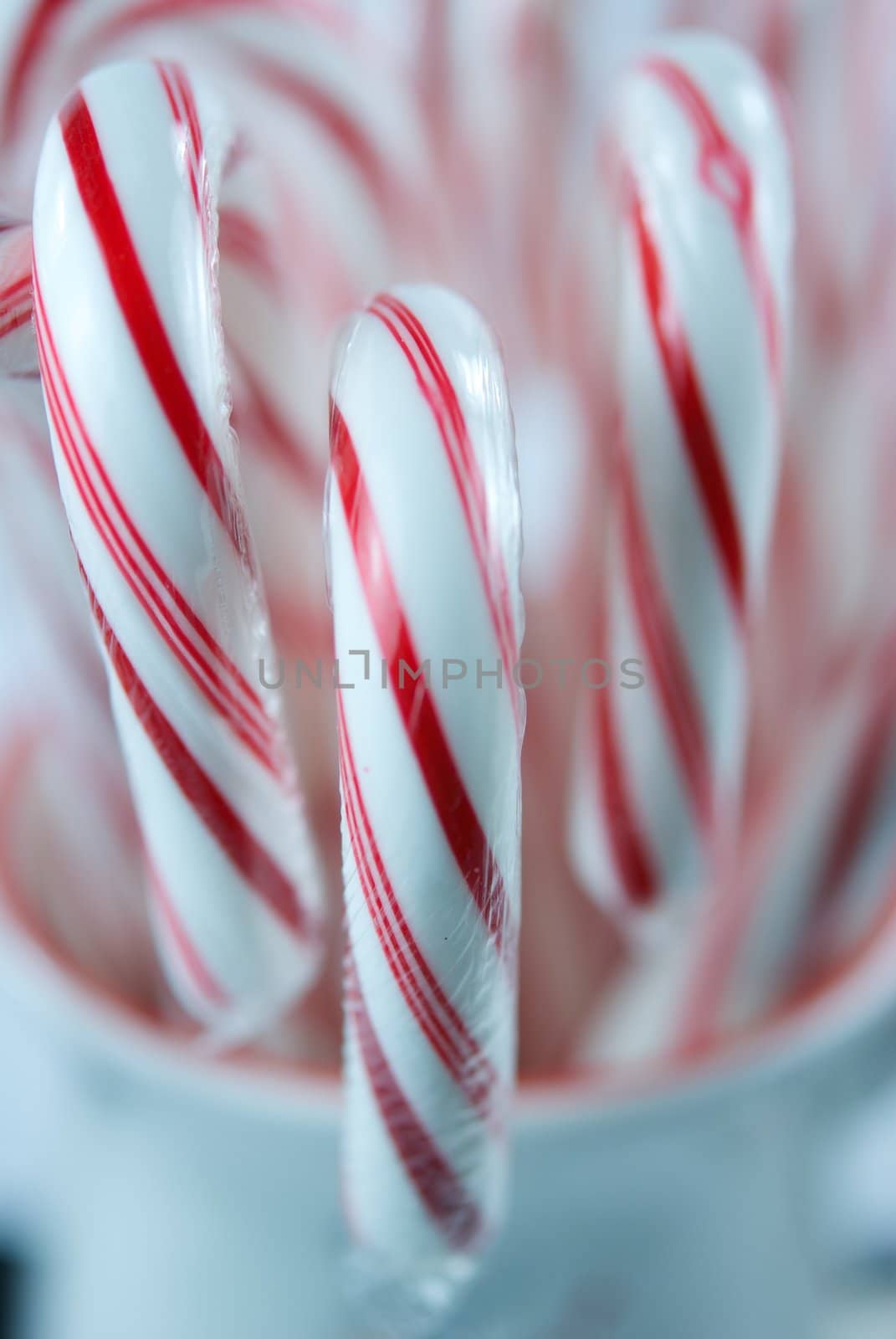 A Mug Holding Three Candy Canes with Red Stripes