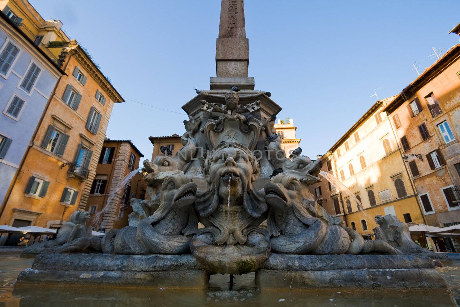 Fountain on the Piazza della Rotonda by Antartis