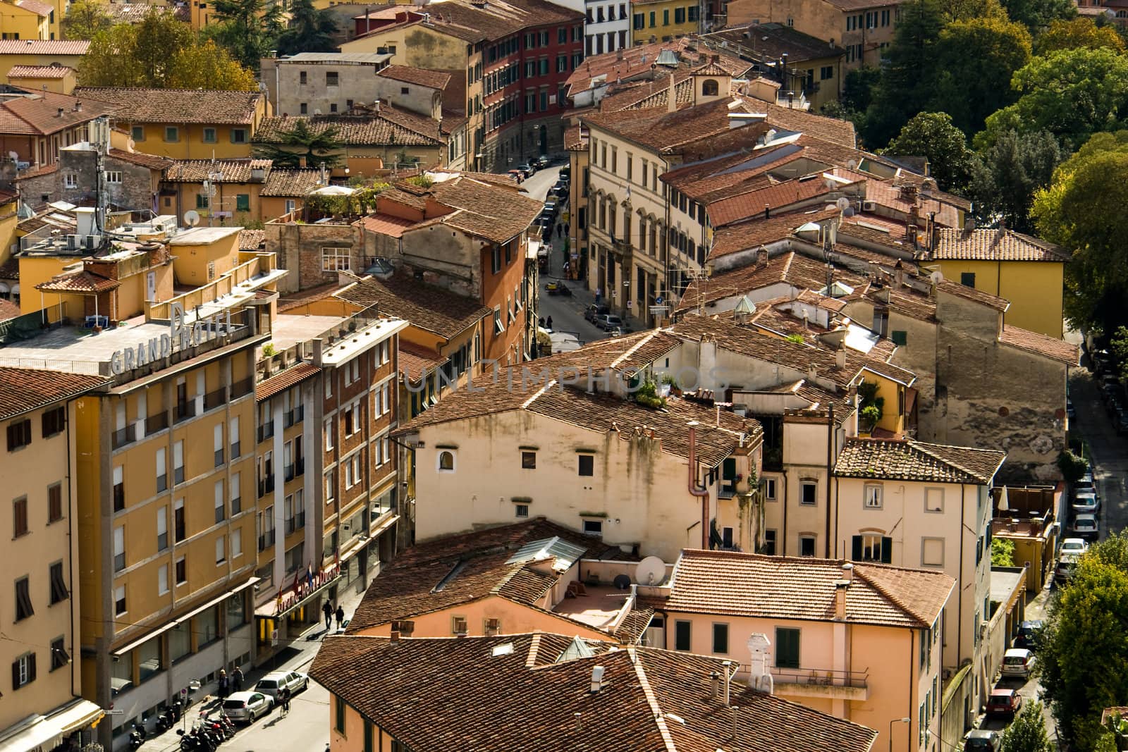 View of the roof of Pisa in Italy with world-famous Leaning Tower