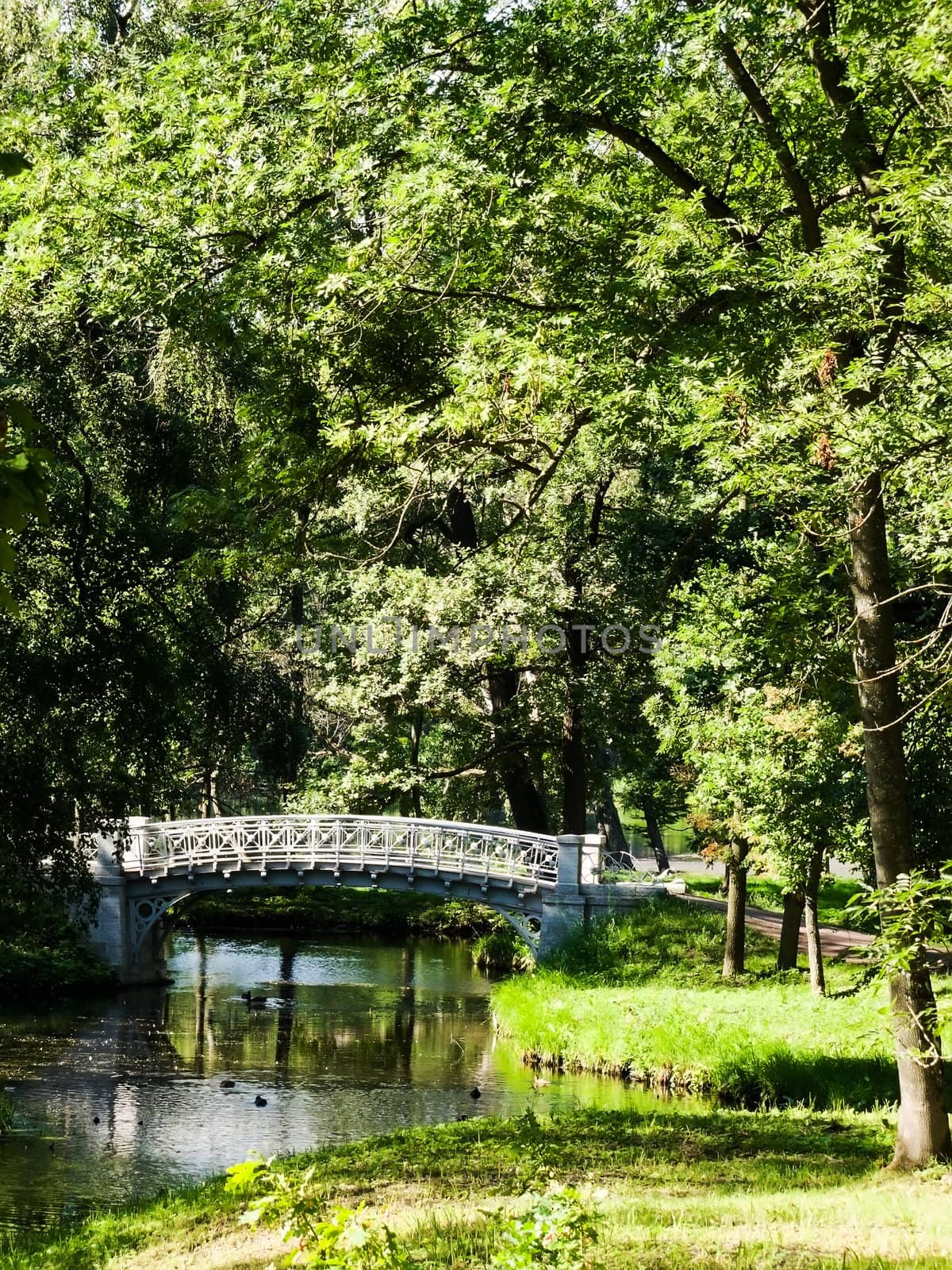 bridge in the park by rodakm