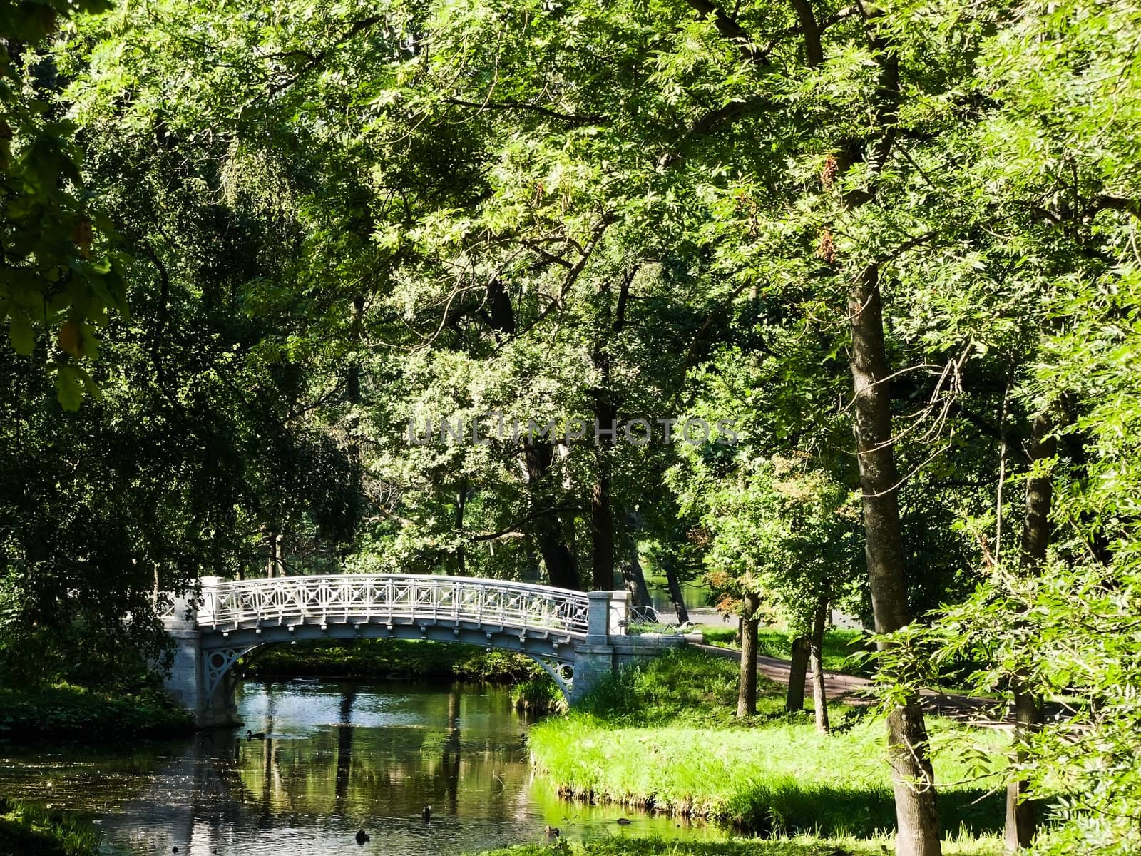 bridge over the river in the park