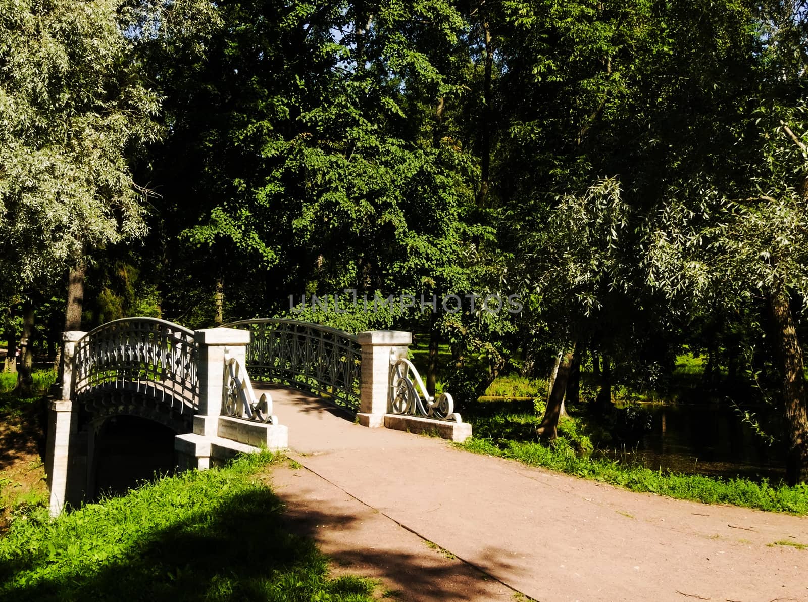 bridge over the river in the park