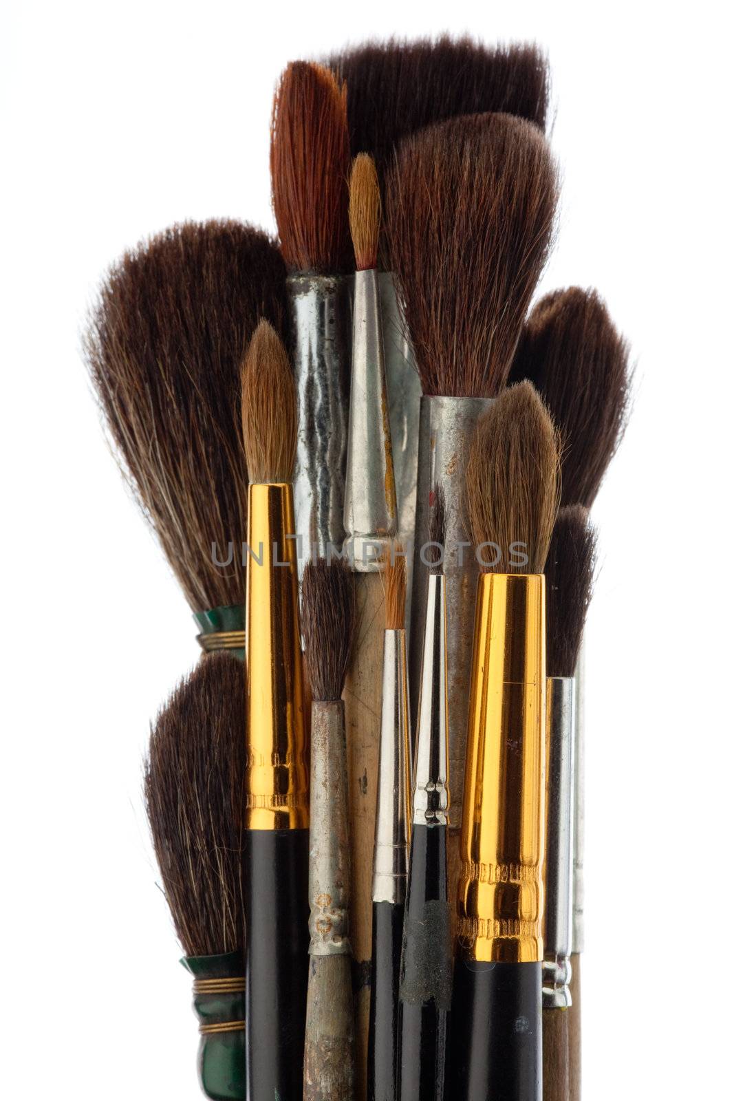 A set of brushes of the artist by Antartis