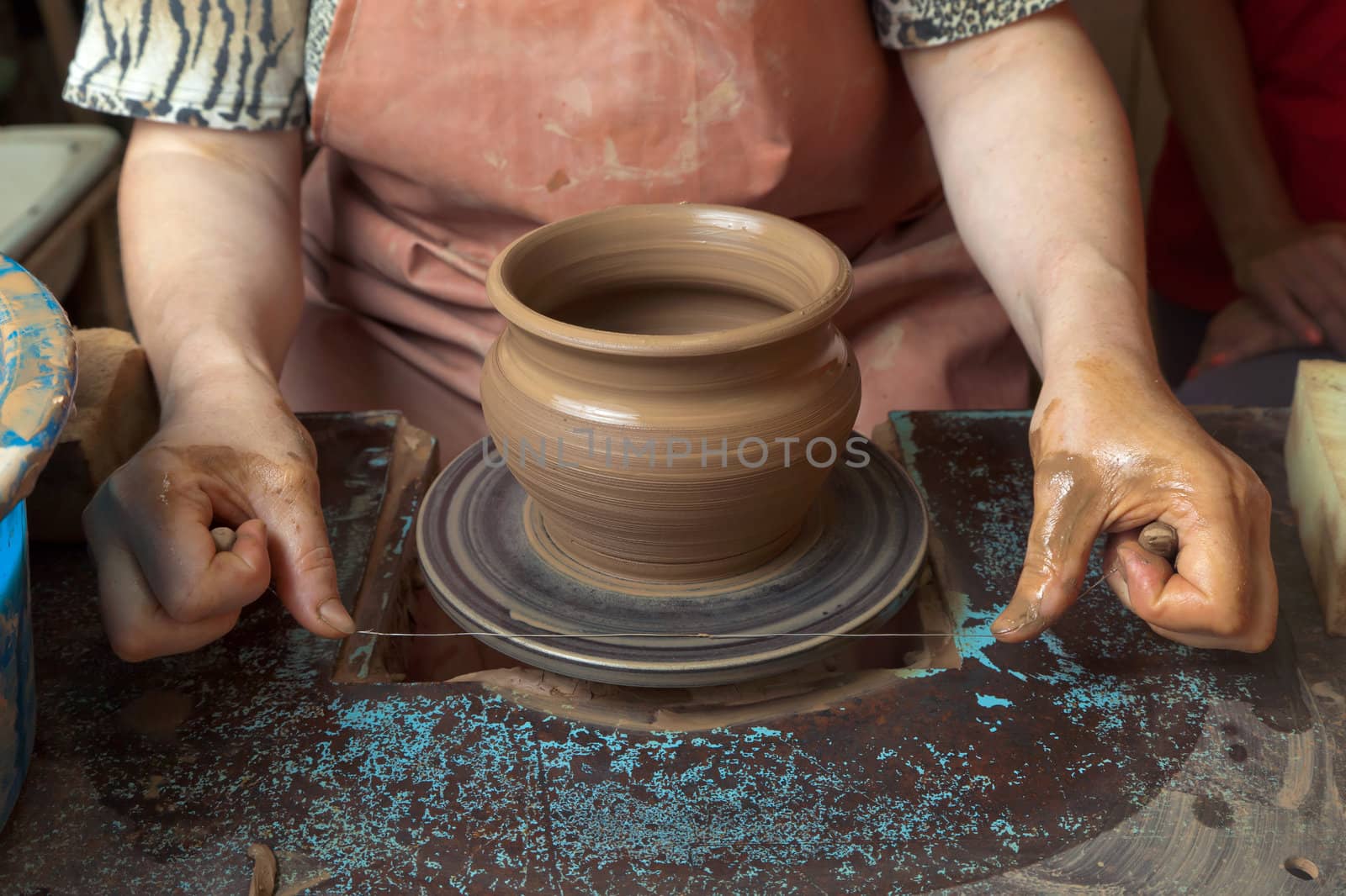 Potter cuts just created a pot by Antartis