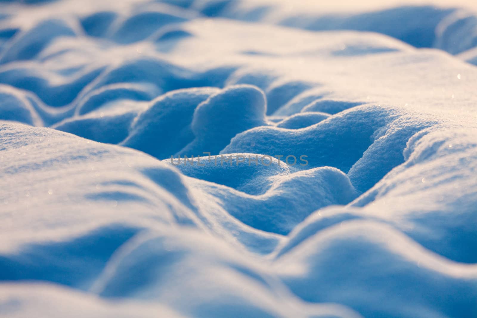 Pathway among the snow drifts in the evening light