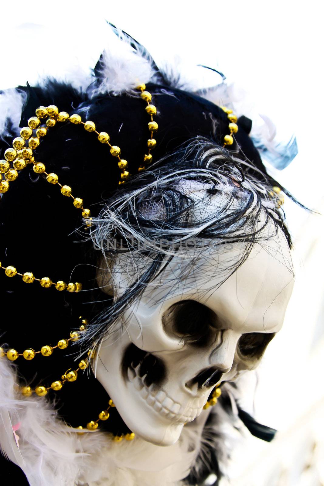 venice carnival present one skull on the hat