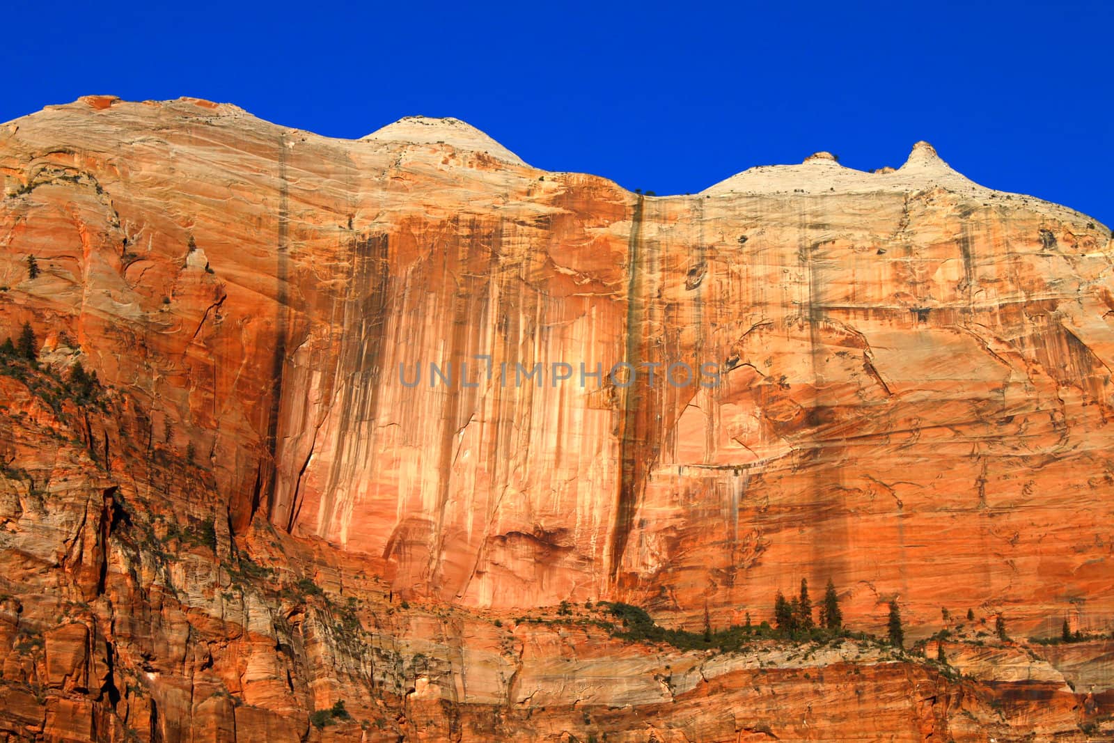 Cliff known as the Streaked wall of Zion National Park in Utah.