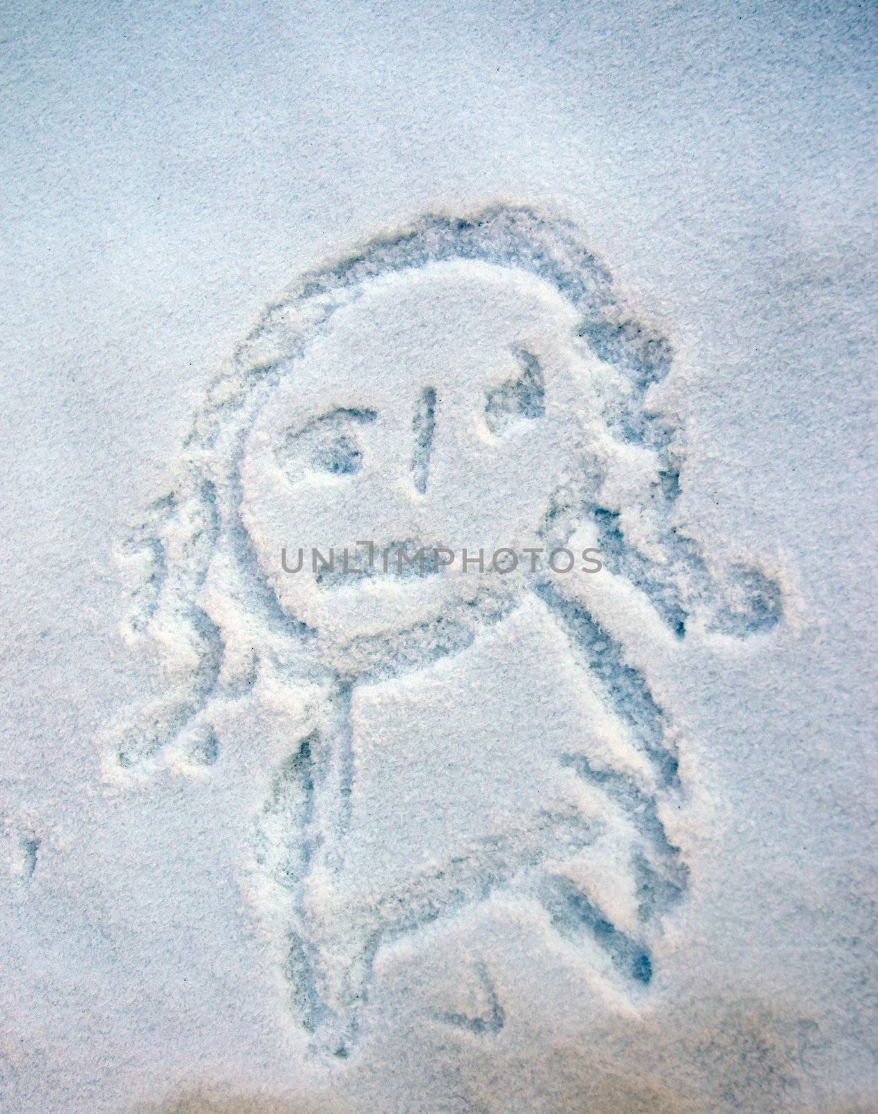 Drawn in the snow girl