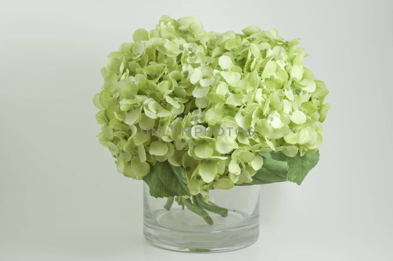 fake green hyndrangea bunch with green leaves