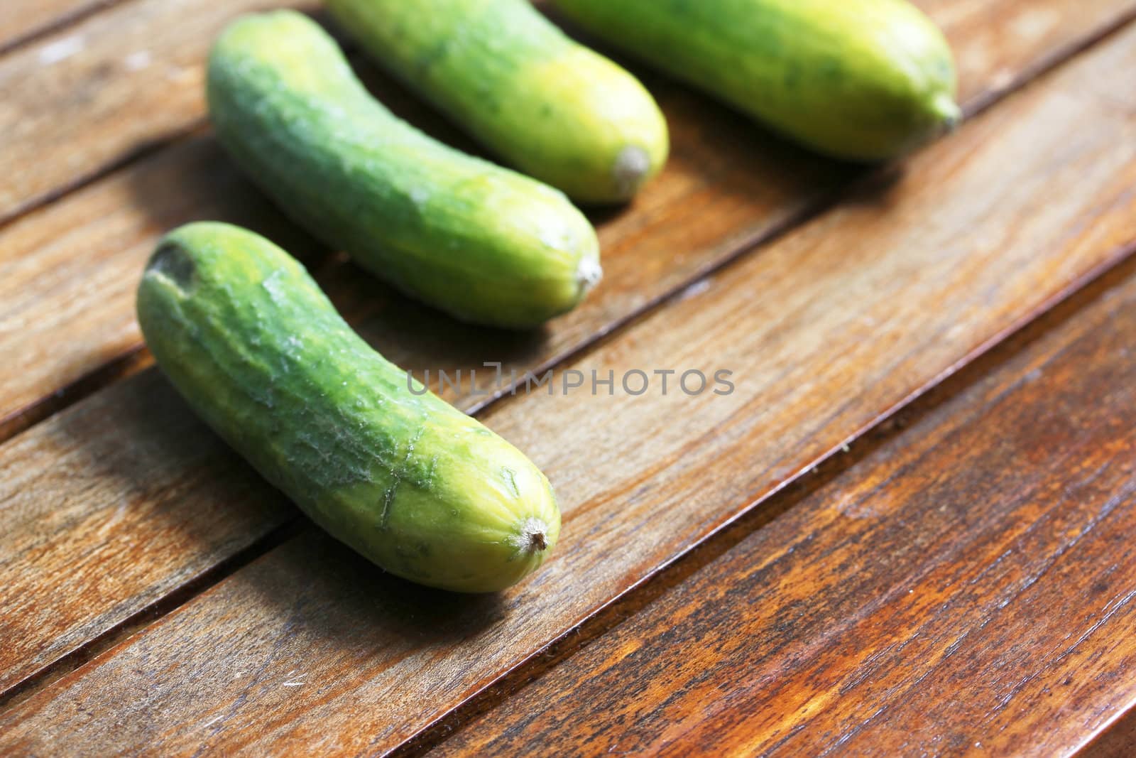 fresh cucumbers by Teka77