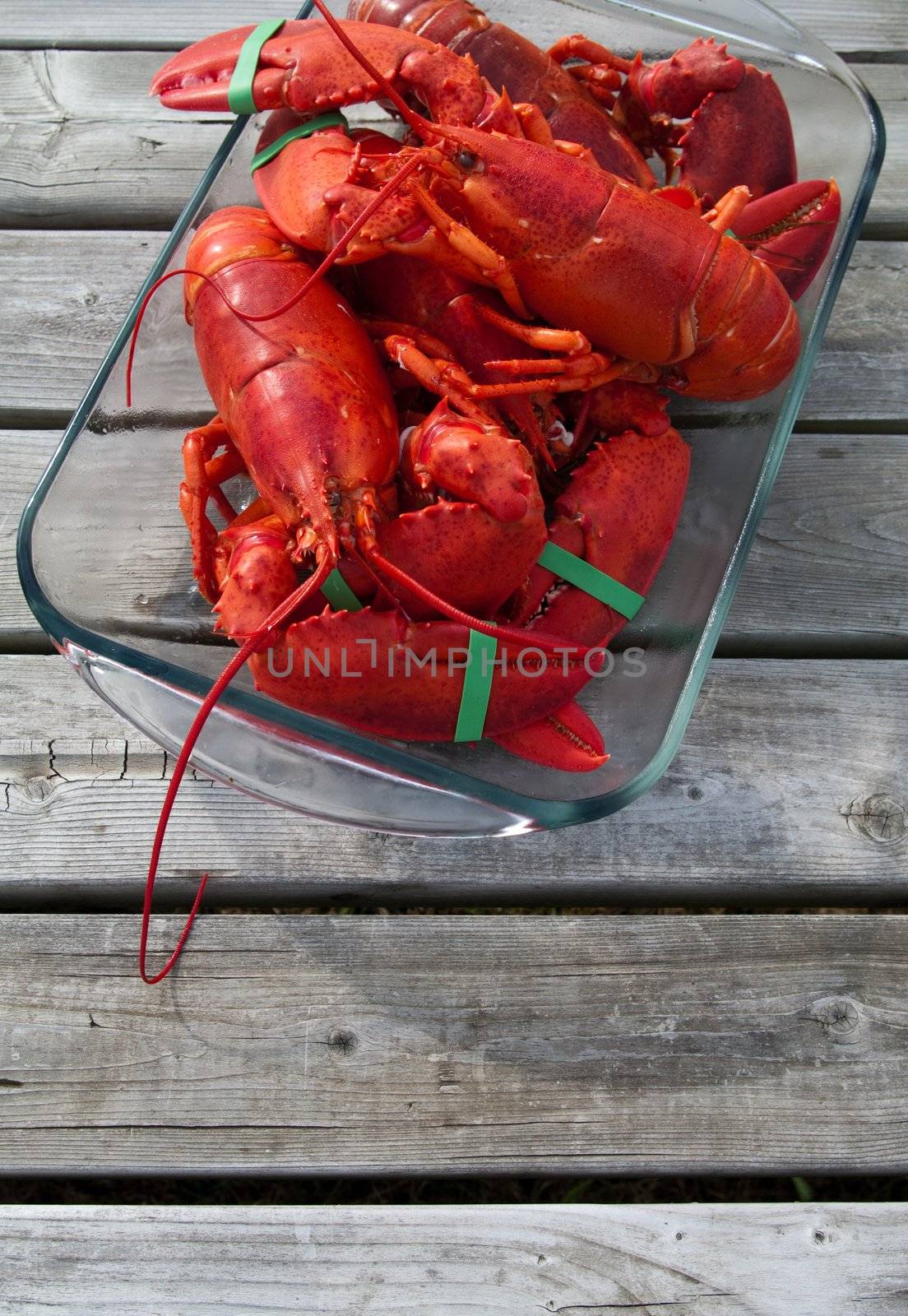 Lobster just cooked and ready to eat
