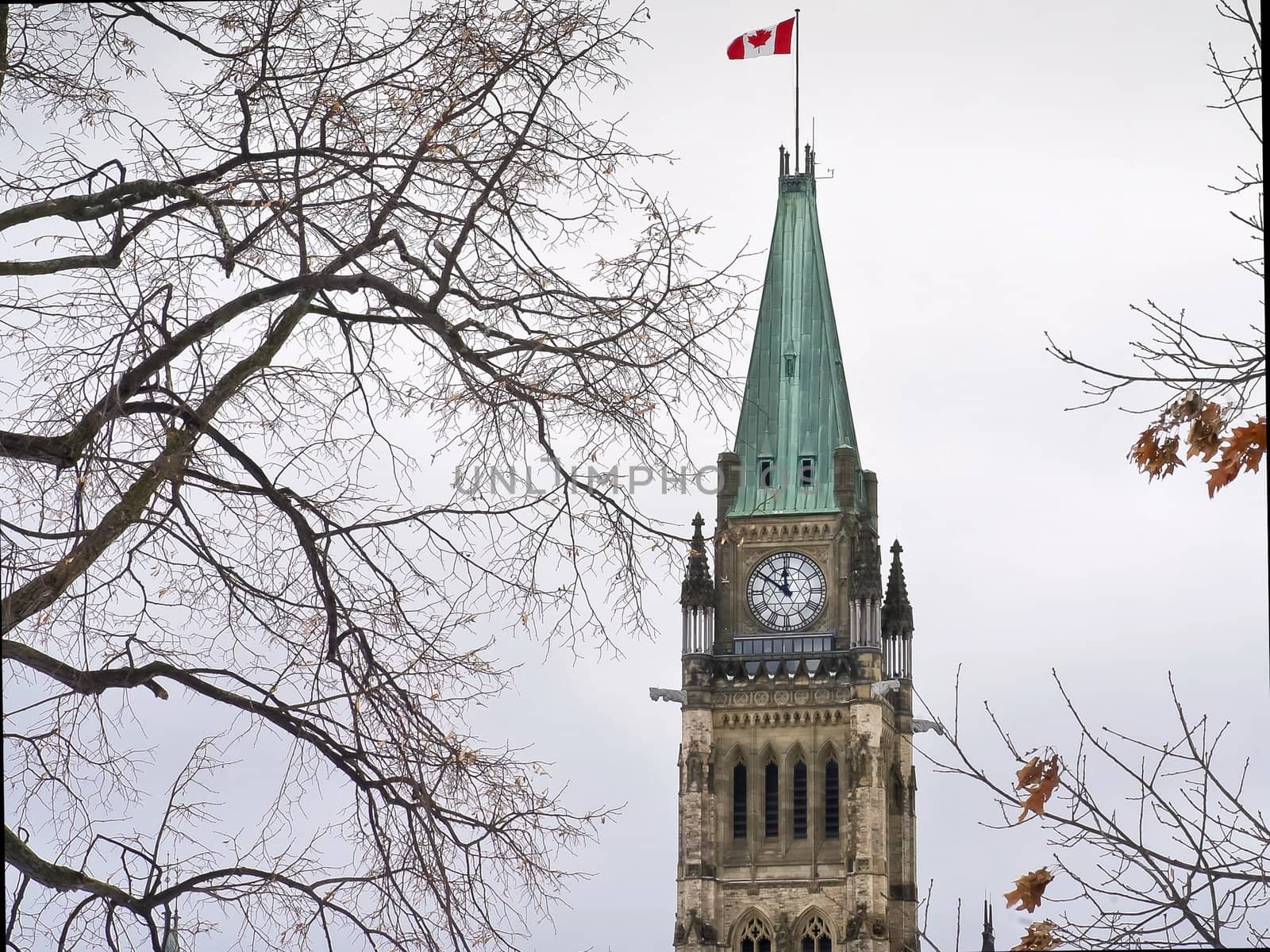 The canadian Parliament with twisted branches in the sky at lunchtime on a crisp winter day.