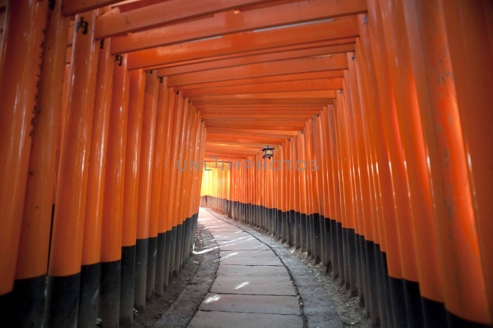 a tunnel of torii gates at the Fushimi Inari-taisha shrine, Osaka, Japan