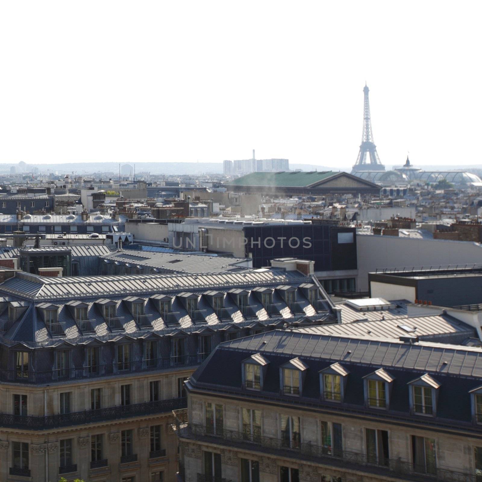 view on Eiffel Tower and panorama of Paris