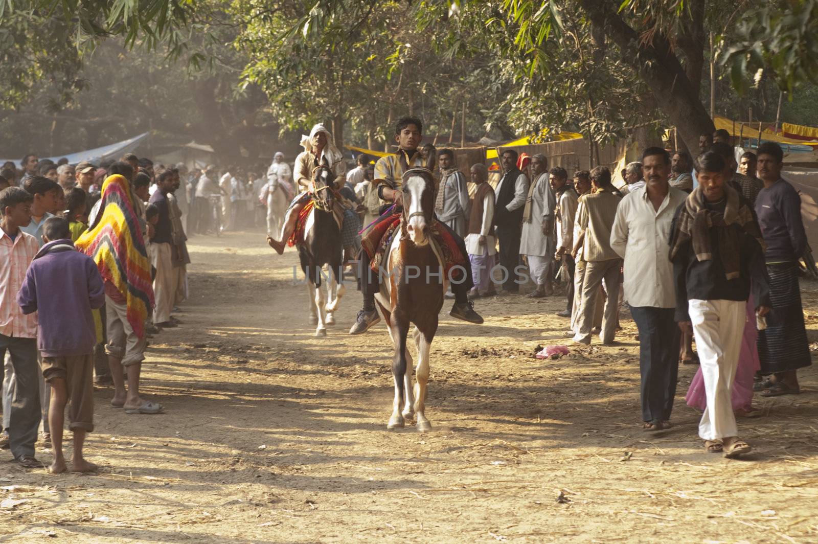 Men test riding horses along a track in the woods at the Sonepur livestock fair, India