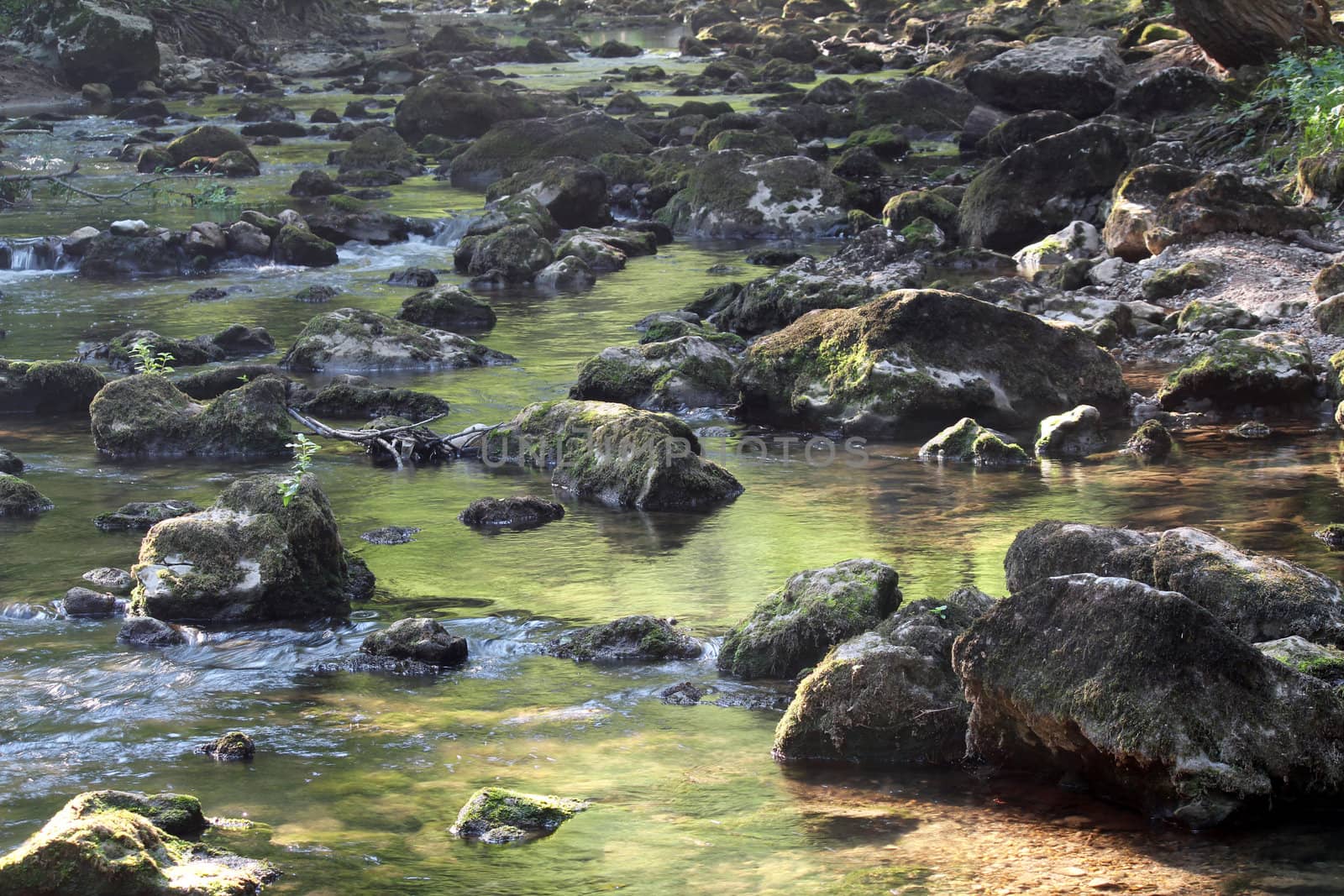 mountain creek with stones