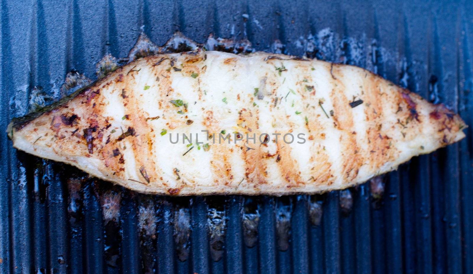Greenland Halibut fillet steak being grilled on BBQ