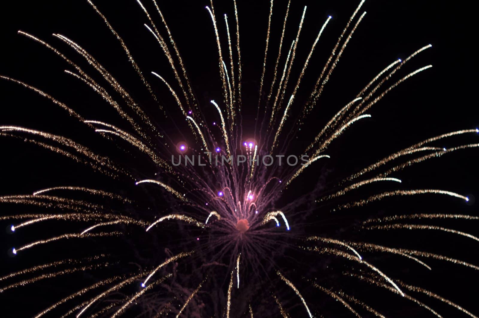 A delicate burst of fireworks in the night sky