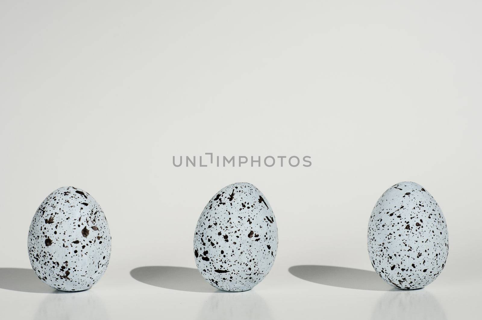 three blue eggs with black spots in a row isolated on white backgrond